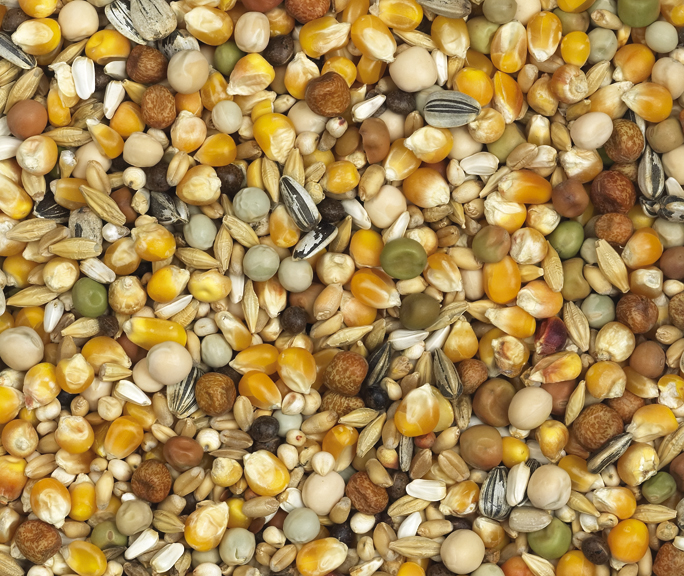 Van Robaeys - Super Speciaal Rui nr. 13, 20 KG